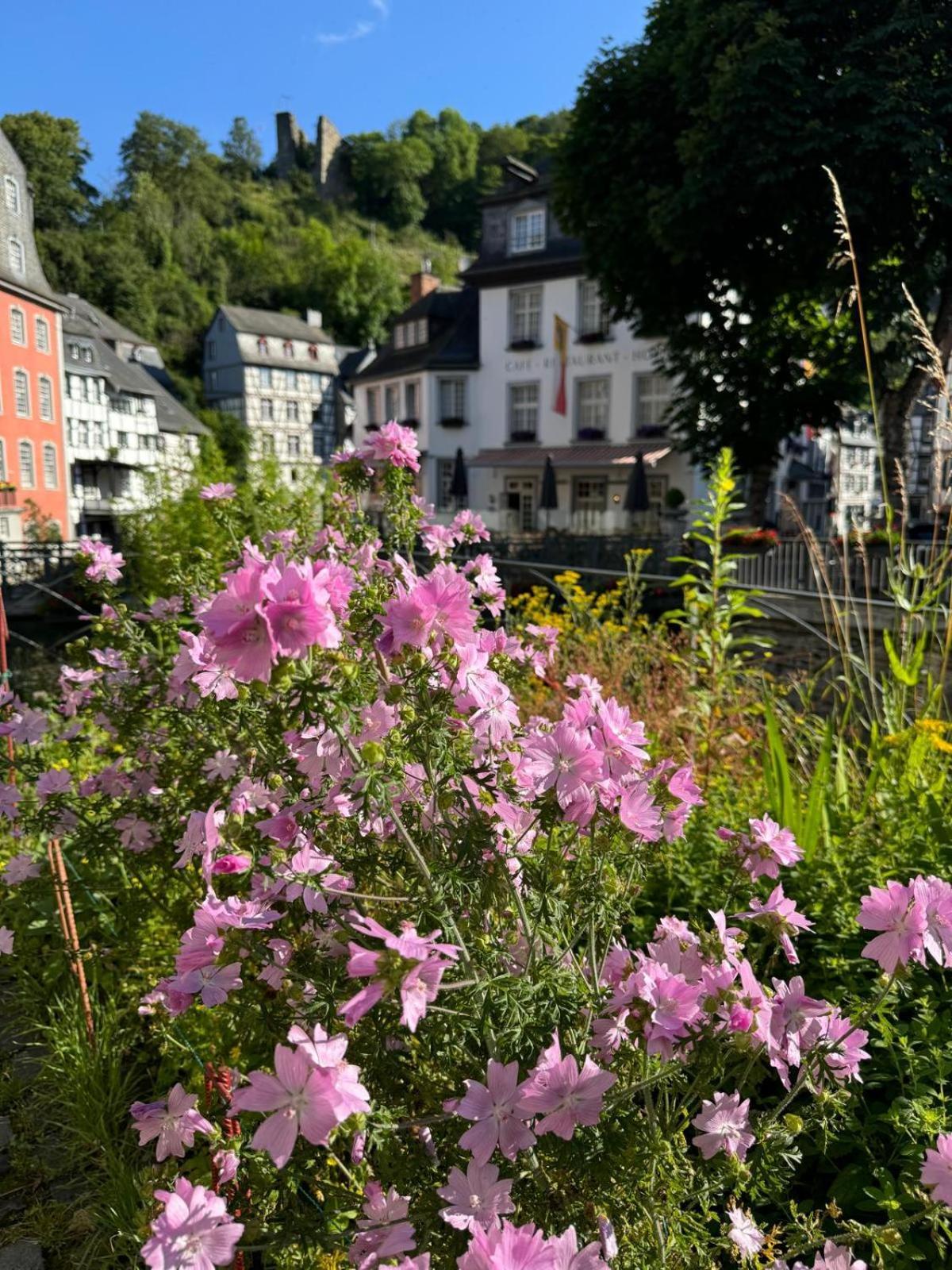 Fewo In Monschau Exteriér fotografie