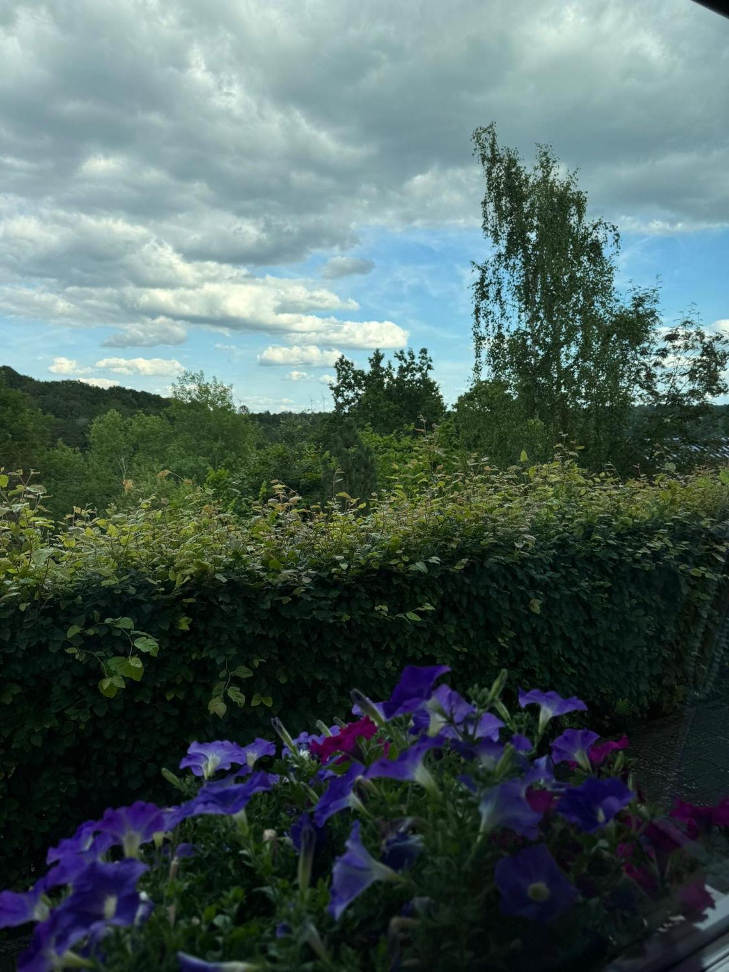Fewo In Monschau Exteriér fotografie